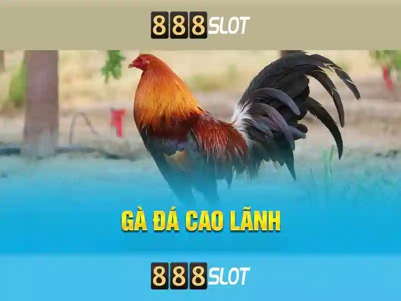 Trải nghiệm Slot đỉnh cao