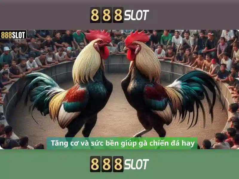 Ứng dụng 888slot