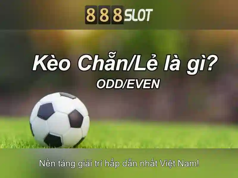 Ưu Đãi Đặc Biệt Cho Thành Viên
