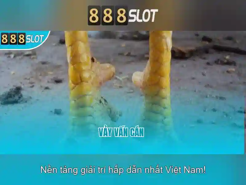 888SLOT – Trang Chủ Slot Game 888slot Chính Thức Không Bị Chặn 2026